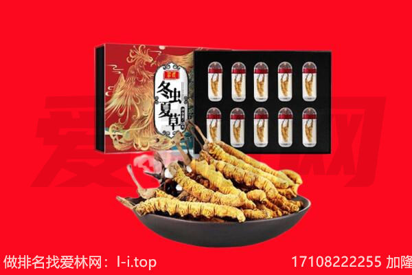 吉林市龙潭回收虫草.jpg